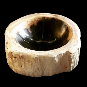 Petrified wood shallow bowls