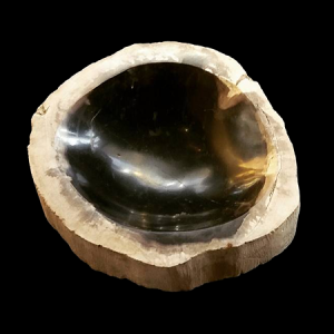 Petrified wood shallow bowls